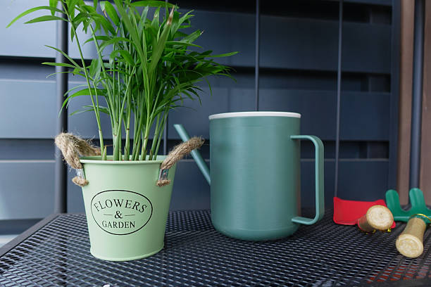 “Indoor watering can and potted plant placed on a balcony table, illustrating a simple step-by-step winter watering routine for container gardens