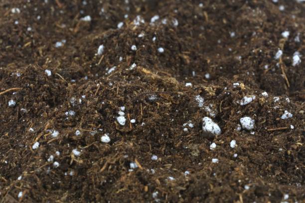 Close-up view of a well-draining potting mix with cocopeat, perlite, and organic matter, illustrating the best soil mix for winter to prevent overwatering in container plants.