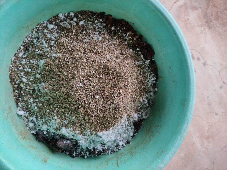 A well-draining container potting mix made with cocopeat, compost, perlite, and neem cake, showing a simple, reliable soil mix for beginner container gardening