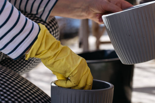 Gardener deep cleaning plant pots with gloves as part of preventive container garden maintenance to avoid pests and fungal issues