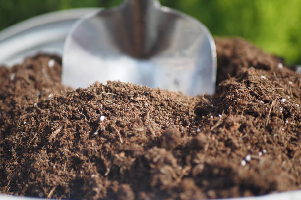 Organic compost used for container gardening, showing natural soil nutrition that supports steady plant growth without chemical fertilizers