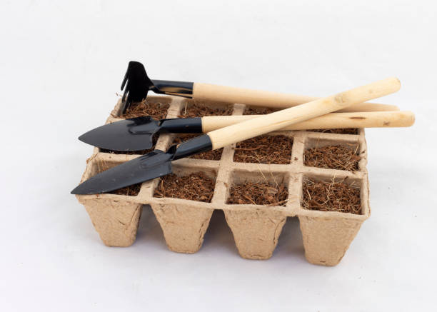Set of small gardening hand tools placed on a biodegradable seedling tray, illustrating affordable, durable tools suitable for balcony and container gardening.