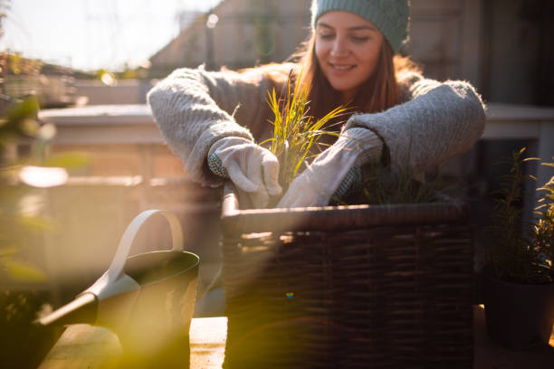 Gardener protecting balcony plants during a cold winter morning by adjusting container placement, showing how to shield potted plants from cold winds in humid southern climates.