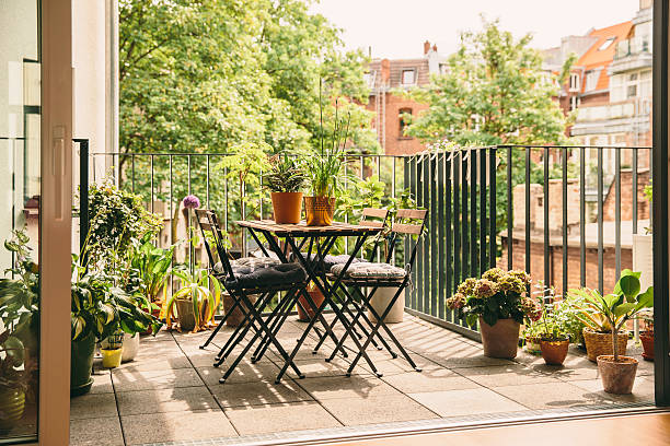 Balcony container garden showing how sunlight intensity and building shade affect potted plants differently than plant labels suggest