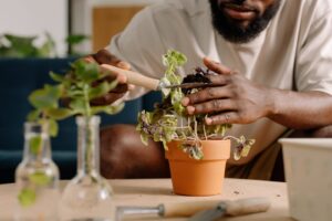 Gardener gently loosening soil around a potted plant to explain how fertilizers affect root health and nutrient balance in container gardening.