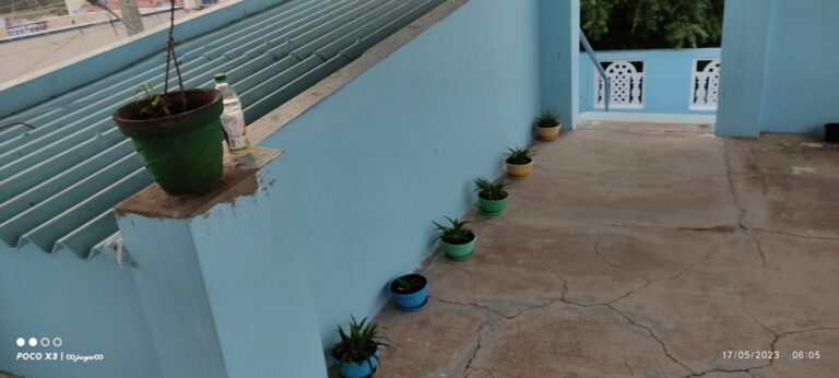 Terrace container gardening layout with evenly spaced pots along the floor and wall, showing functional use of space for airflow, light access, and easy plant maintenance