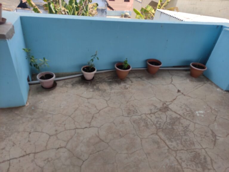 Terrace container gardening layout showing pots spaced horizontally along the floor, demonstrating how horizontal space supports airflow, light reach, and easy plant access