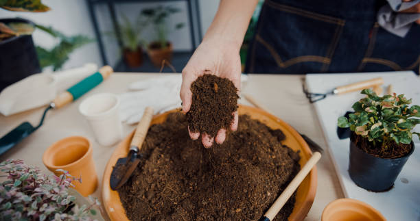 Hand holding loose potting soil above a container, showing soil texture, weight, and structure needed for airflow, water balance, and root health in pots