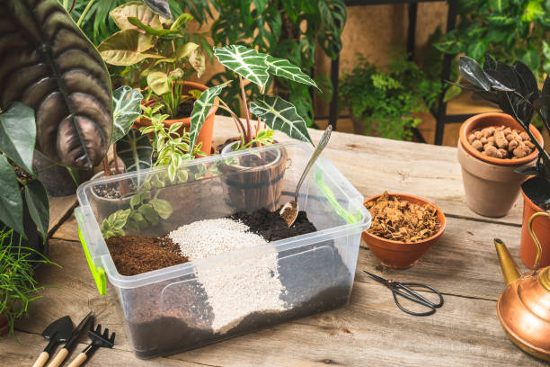 A potting mix setup showing soil layers, coco peat, and amendments for container plants, highlighting how container care routines differ from ground gardening.