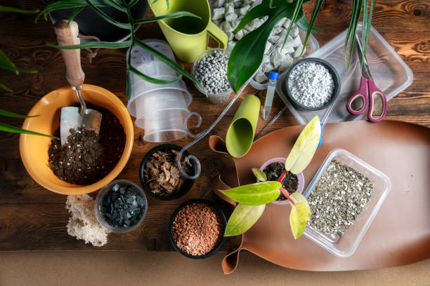Container gardening soil system showing potting mix ingredients like compost, perlite, cocopeat, and tools arranged to illustrate soil structure, aeration, and drainage