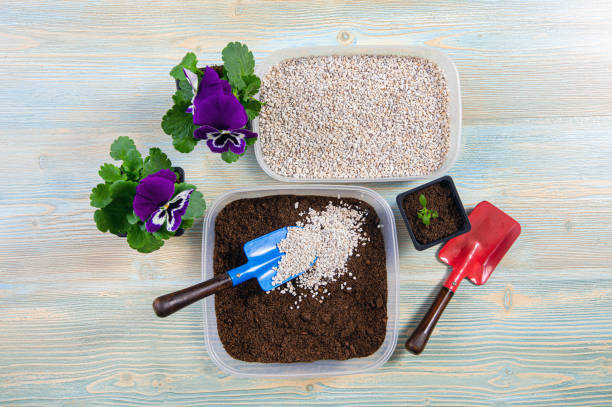 Container gardening soil setup showing potting soil, perlite, tools, and flowering plants, illustrating common beginner soil mix misunderstandings that affect plant growth