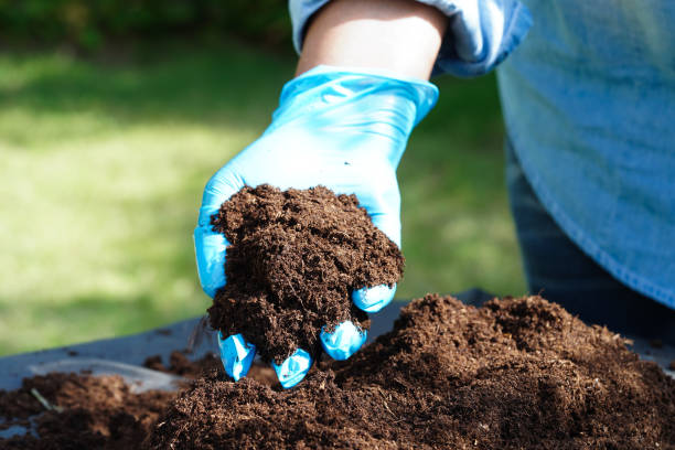 Gardener holding measured organic compost to show light, consistent fertilizer application for container plants based on growth stage and pot size.