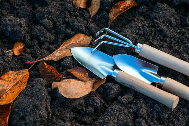hand trowel and fork used in soil showing how tools help precise soil handling in container gardening pots