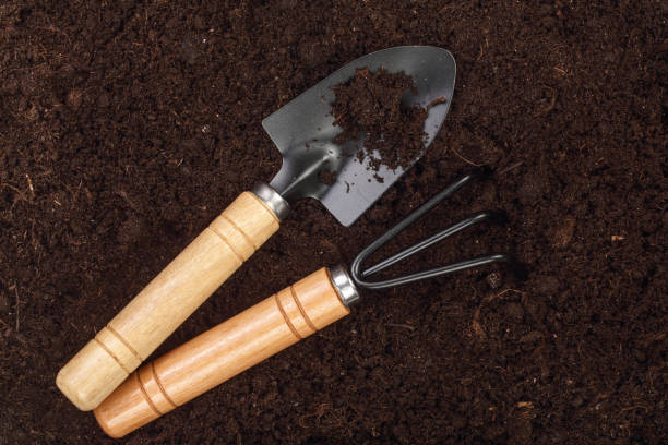 basic hand gardening tools like trowel and fork for soil handling in container gardening pots for beginners