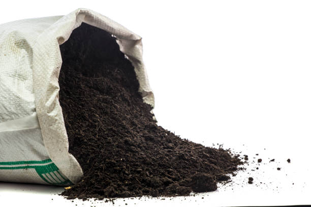 Organic compost used as fertilizer to replenish nutrients in container plants where potting soil alone cannot support long-term growth.