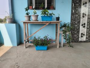 Balcony container garden with wooden plant shelf and potted plants showing vertical stacking setup that can affect airflow, light distribution, and microclimate in small-space gardening.