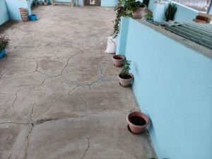 Poor airflow in potted plants kept near walls causing damp soil and fungal growth in a home terrace container garden