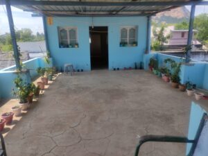 Terrace container garden showing well-spaced potted plants with open airflow, illustrating how tight spaces and poor ventilation cause stress in potted plants.
