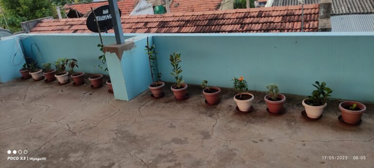 Spacious terrace balcony garden with pots arranged in a single accessible row along the wall, showing a low-stress container garden layout with clear walking space for easy watering, airflow, and maintenance.