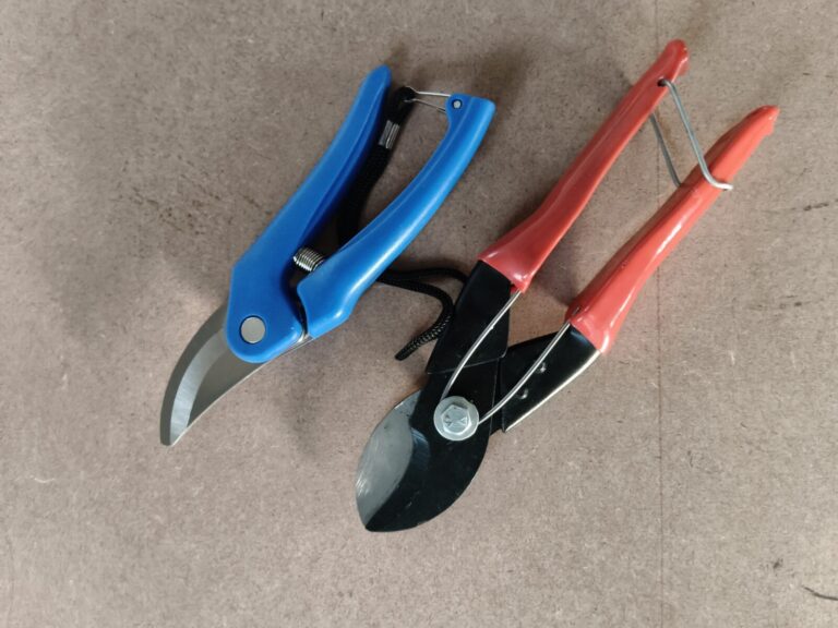Pruning tools for container gardening showing hand pruners used to prevent stem damage and ensure clean cuts in potted plants