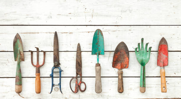 rusted gardening tools set showing wear from moisture and improper storage in terrace and balcony container gardening