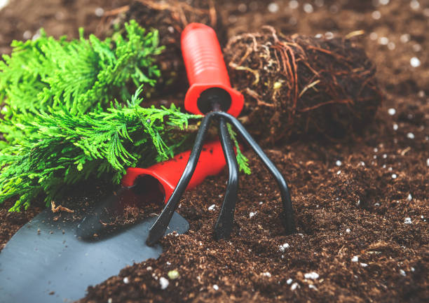 Compact hand gardening tools on soil with plant roots showing space-saving tools for small balcony garden use and easy storage
