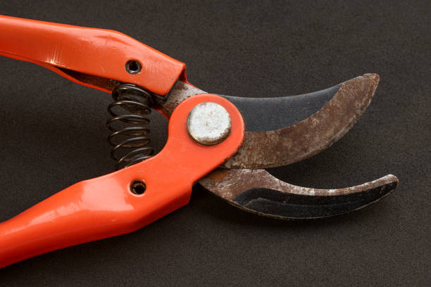 rusted pruning shears showing need for proper cleaning, drying, and storage in balcony gardening tools maintenance