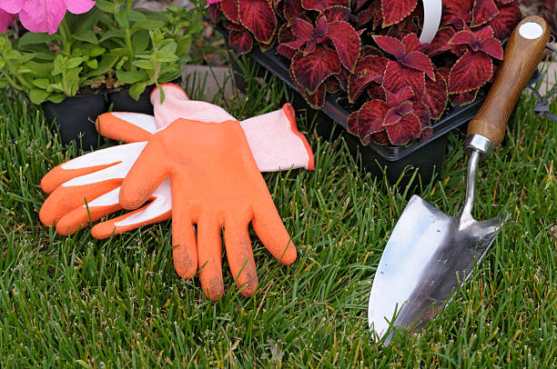 Large gardening tools and gloves placed near plants showing difficulty of using regular tools in small balcony garden spaces