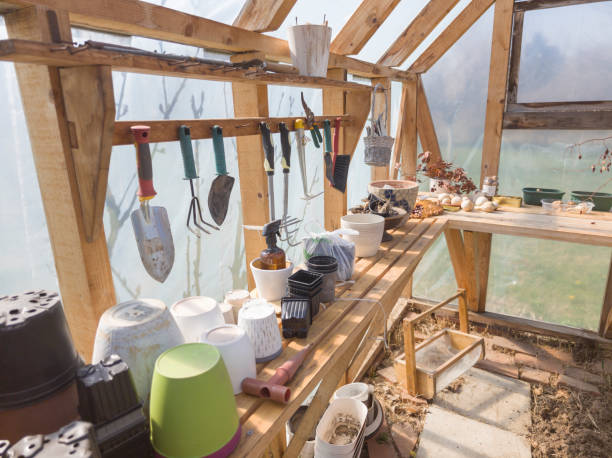 Organized gardening tools stored on wall hooks and shelves in a clean greenhouse setup, showing proper tool storage and maintenance for longer lifespan
