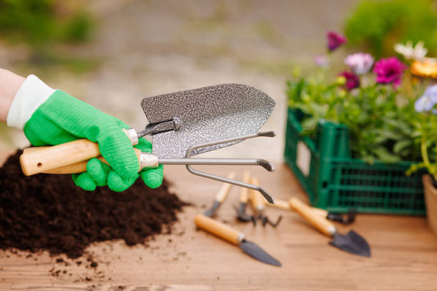 Beginner container gardening tools set including trowel and hand fork used for potting soil in balcony garden setup