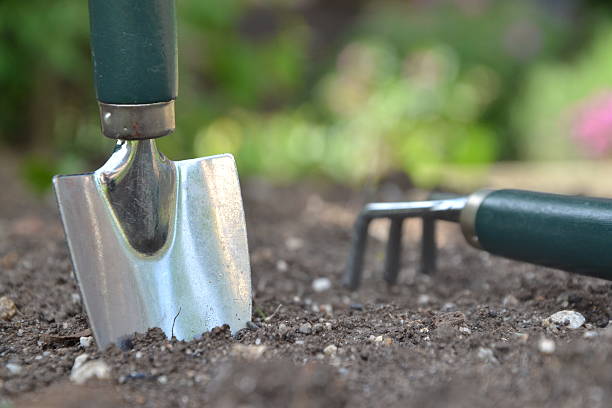 Close-up of hand trowel and rake working in soil showing importance of right tools in container gardening