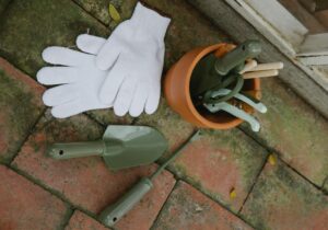 Beginner container gardening tools set with trowel, hand fork, pruner and gloves on balcony floor