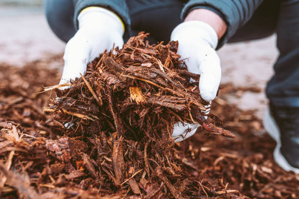 “Adding organic soil amendments like mulch to improve potting mix structure and fix slow plant growth in container gardening”