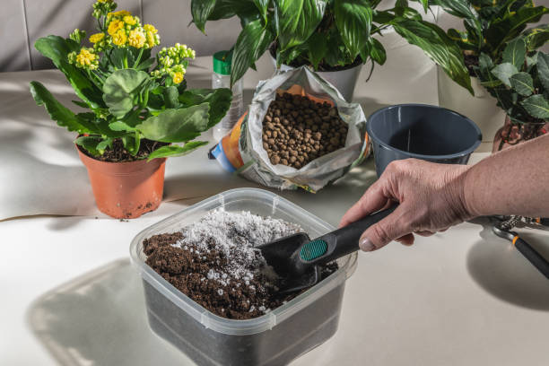 Preparing airy well-draining potting mix with perlite and cocopeat to improve airflow and moisture balance in container plants