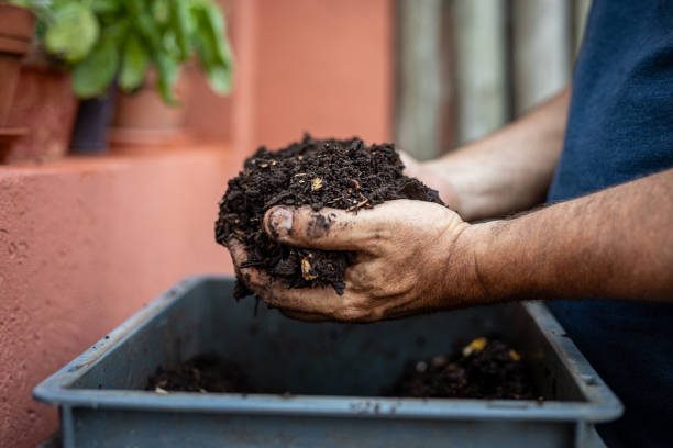 “Hand holding rich organic potting soil mix showing texture and structure needed for healthy root growth in container gardening”