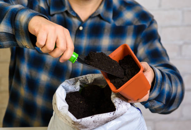 Gardener filling container pot with ready-made potting mix while explaining why some potting soils fail in balcony and terrace container gardening