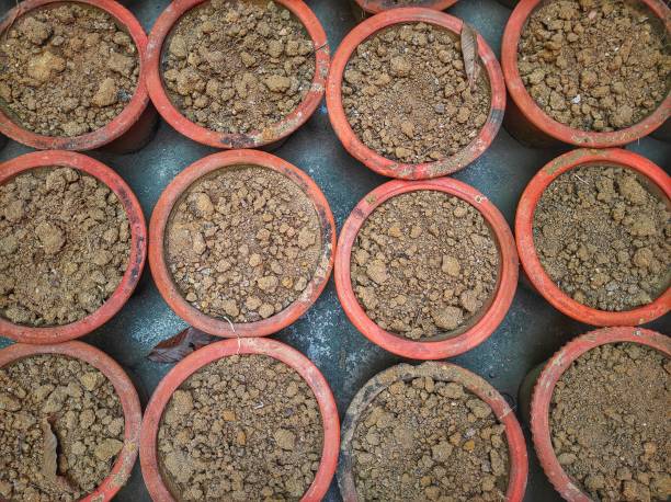 Multiple pots filled with dry garden soil used alone in containers, showing a common beginner container gardening mistake that can lead to compaction and poor root growth