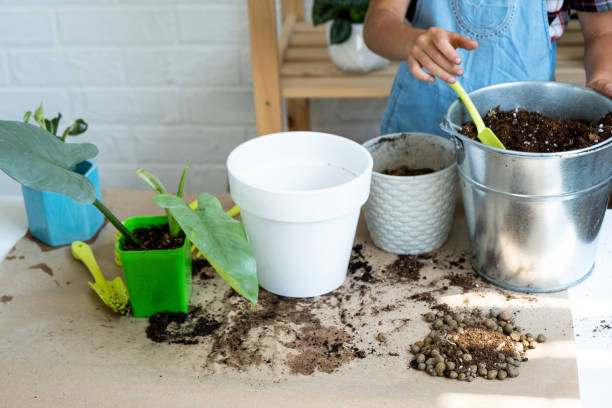 Container gardener preparing airy potting mix with soil amendments to improve drainage, airflow, and healthy root growth in potted plants