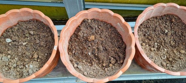 Container pots filled with dense garden soil on a balcony setup, showing how limited root space and restricted drainage affect soil behavior differently from ground soil