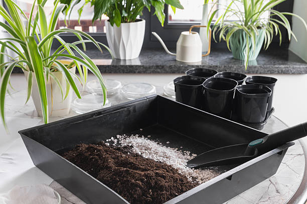 Different potting mix ingredients for container gardening showing how soil texture, drainage, and aeration affect plant growth differently in potted plants