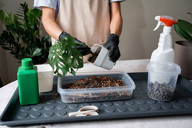 Gardener preparing well-draining potting mix for indoor and container plants using soil amendments to prevent root rot and moisture problems in potted plants