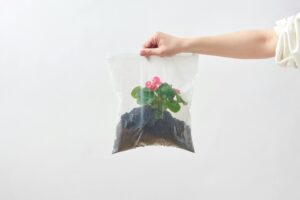 Potting Soil Not Working in Containers – Balcony Gardening Soil Problems Explained
