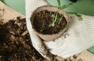 Person holding a biodegradable seedling pot filled with healthy potting soil mix for container gardening, showing lightweight soil amendments used in Indian balcony and terrace gardening to improve drainage, airflow, and root growth in potted plants.