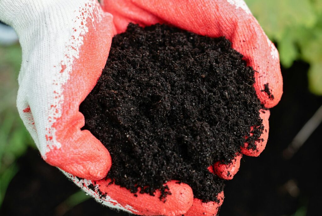 Gardener holding dark healthy potting soil by hand to check soil texture, moisture, and drainage signs naturally for balcony and terrace container gardening without tools.