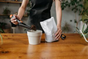 Beginner container gardener adding airy potting soil mix into a small pot to prevent overwatering and improve drainage for healthy balcony and terrace plants