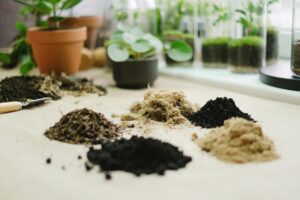 Container gardening potting mix ingredients like cocopeat, compost, and soil amendments arranged for improving soil texture and root growth in potted plants