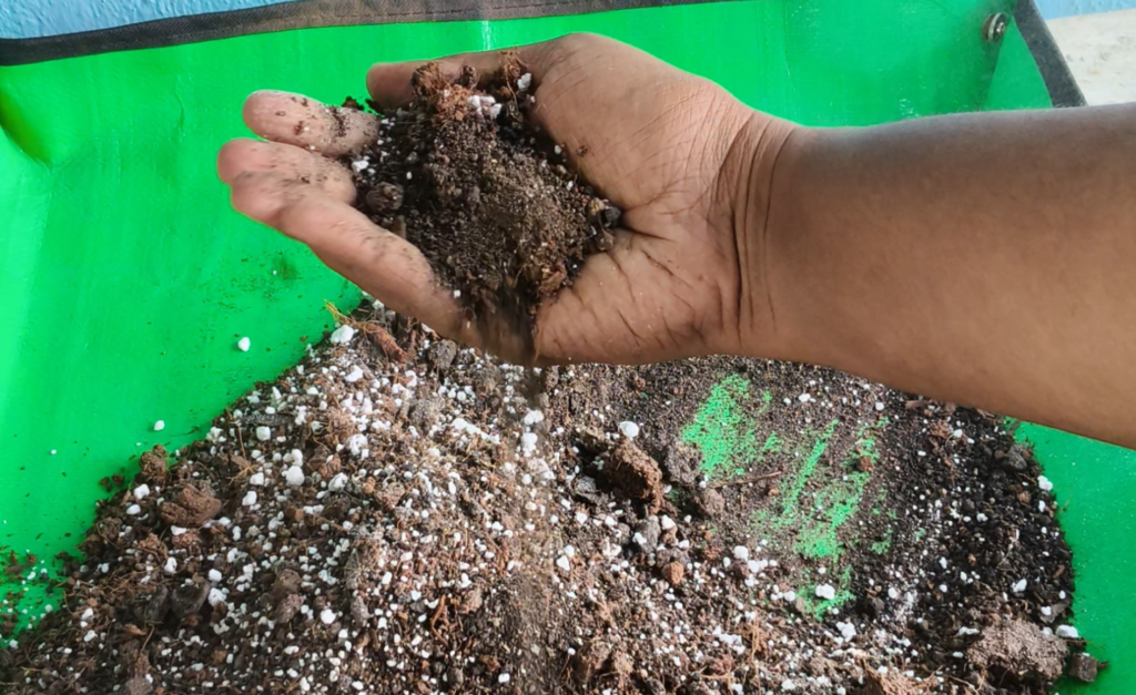 “Healthy airy potting mix with cocopeat and perlite for container plants showing proper soil structure for root growth in balcony gardening”
