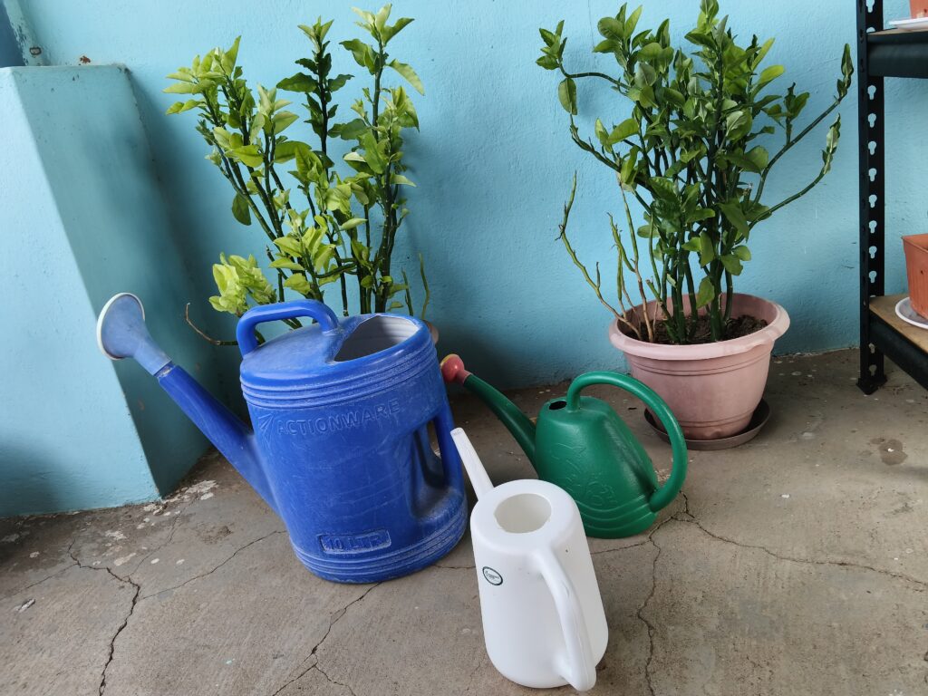 Three watering cans used for container gardening on a terrace garden, including a 10-litre watering can, medium watering can with shower rose, and narrow-spout watering can for balcony plants, shelf plants, succulents, and hanging pots.