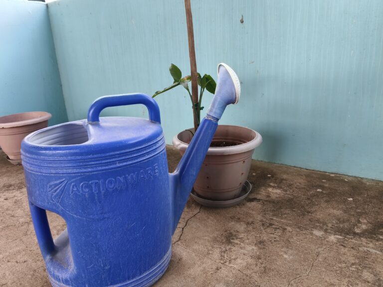 Large 10-litre watering can used in a terrace container garden, showing how watering can size and water flow affect deep watering, soil stability, and root health in potted plants.