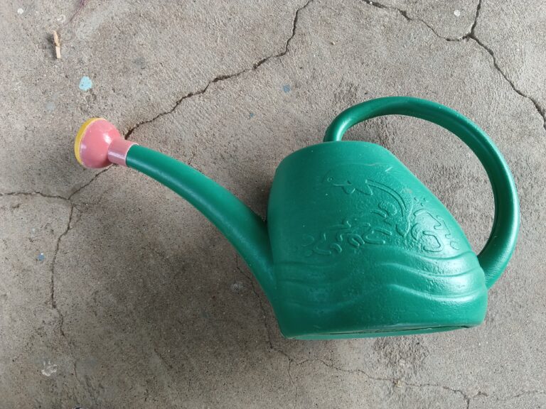 3-litre watering can with long spout and detachable shower head for balcony plants, seedlings, and small container gardens.